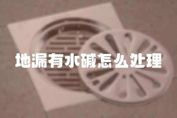 地漏有水堿怎么處理