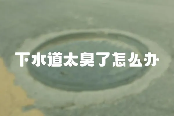 下水道太臭了怎么辦