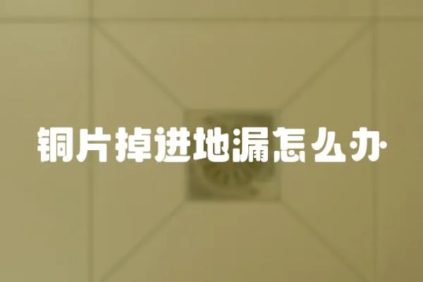 銅片掉進地漏怎么辦