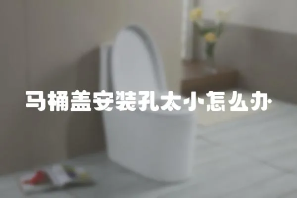 馬桶蓋安裝孔太小怎么辦