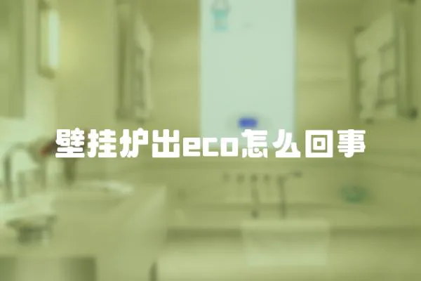壁掛爐出eco怎么回事
