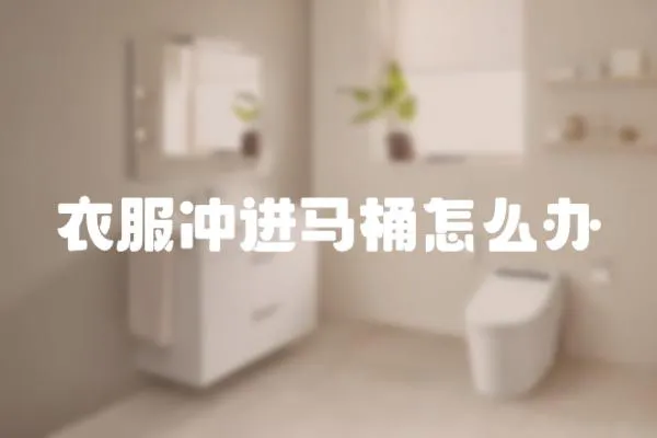 衣服沖進馬桶怎么辦