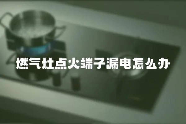 燃氣灶點火端子漏電怎么辦