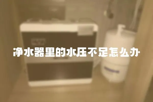 净水器里的水压不足怎么办