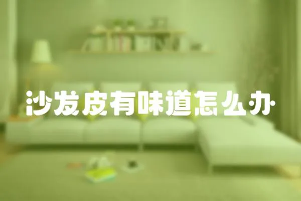 沙發皮有味道怎么辦