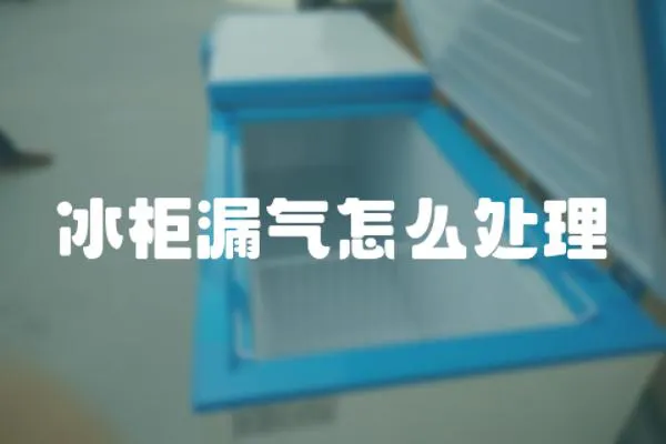 冰柜漏氣怎么處理