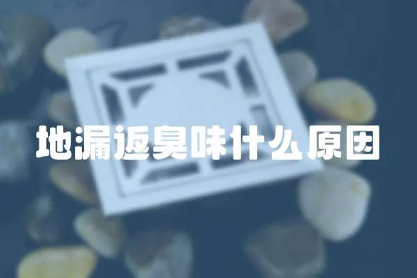 地漏返臭味什么原因