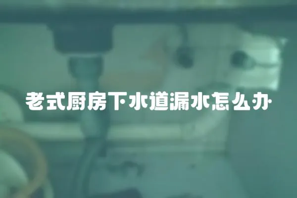 老式廚房下水道漏水怎么辦