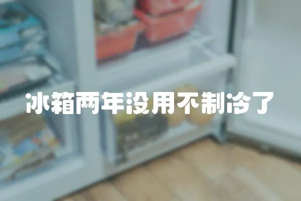 冰箱兩年沒用不制冷了