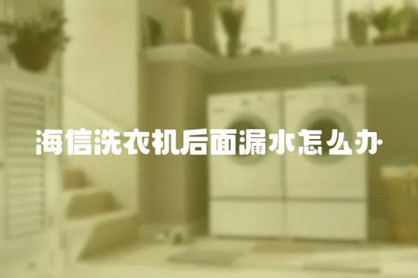 海信洗衣機后面漏水怎么辦