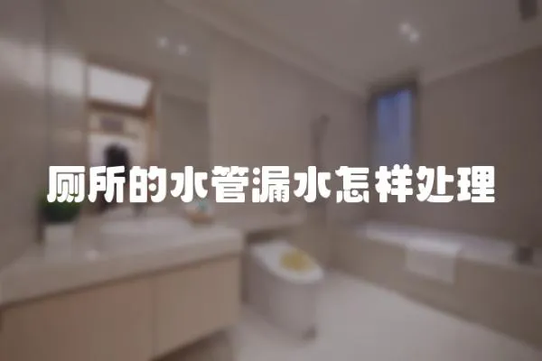 廁所的水管漏水怎樣處理