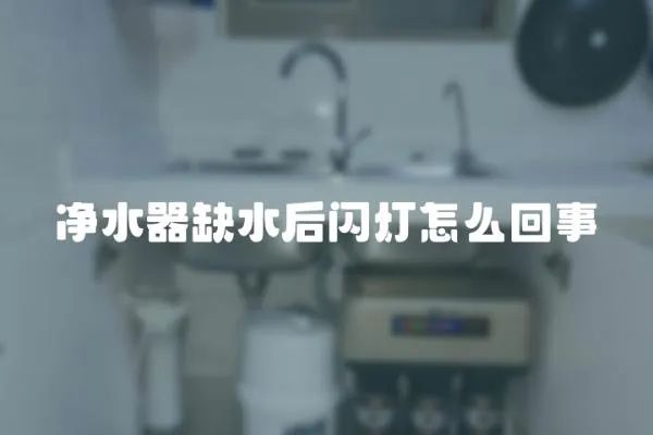 凈水器缺水后閃燈怎么回事