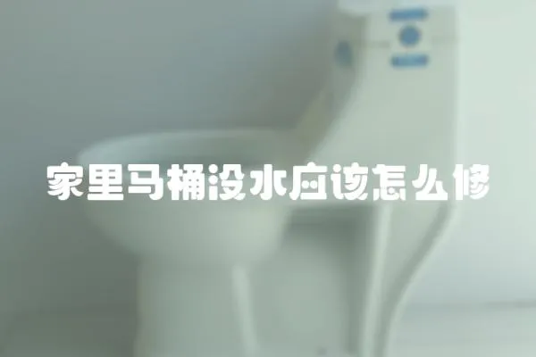家里馬桶沒水應該怎么修