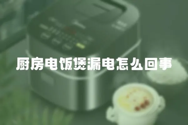 廚房電飯煲漏電怎么回事