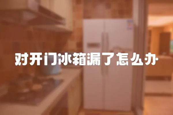 對開門冰箱漏了怎么辦