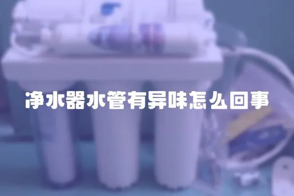 凈水器水管有異味怎么回事