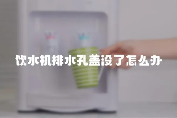 饮水机排水孔盖没了怎么办