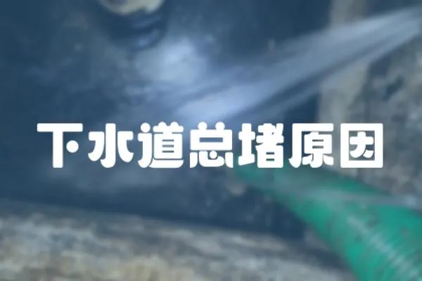 下水道總堵原因