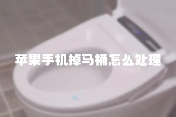 蘋果手機掉馬桶怎么處理