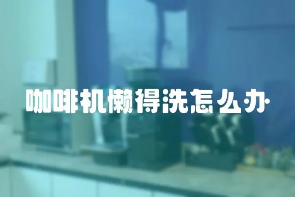 咖啡機懶得洗怎么辦