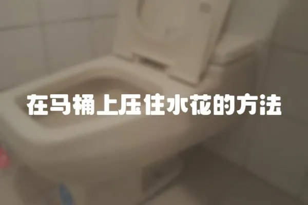 在馬桶上壓住水花的方法