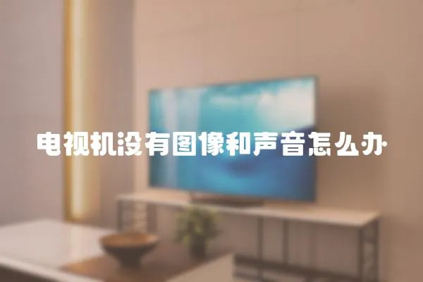 電視機沒有圖像和聲音怎么辦