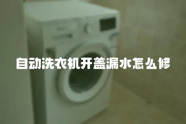自動洗衣機(jī)開蓋漏水怎么修