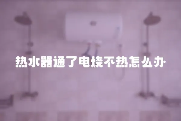 熱水器通了電燒不熱怎么辦