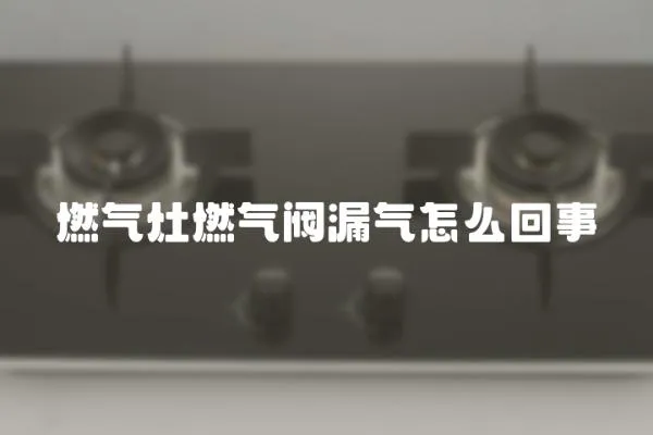 燃氣灶燃氣閥漏氣怎么回事