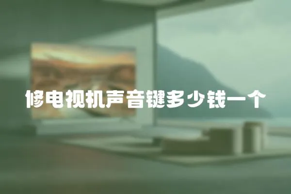 修電視機聲音鍵多少錢一個