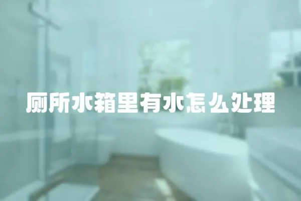 廁所水箱里有水怎么處理