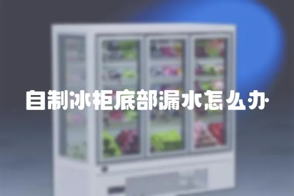 自制冰柜底部漏水怎么辦