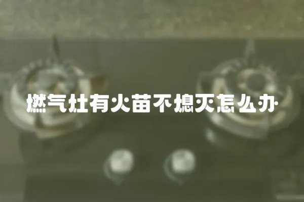 燃气灶有火苗不熄灭怎么办