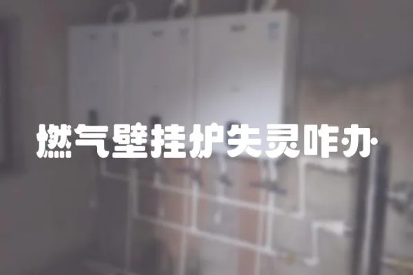 燃氣壁掛爐失靈咋辦