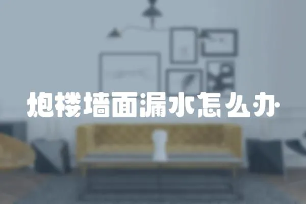 炮樓墻面漏水怎么辦