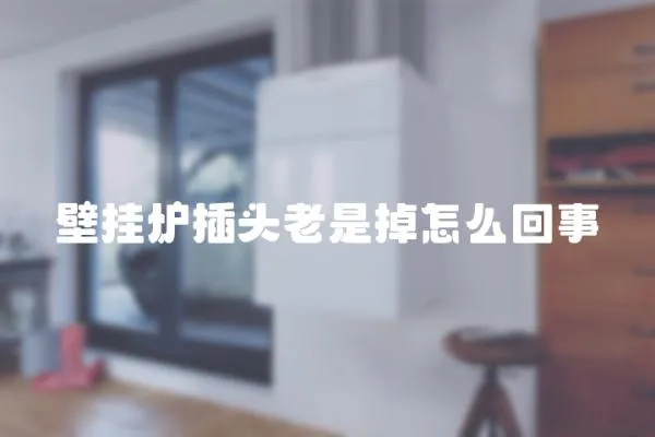 壁掛爐插頭老是掉怎么回事