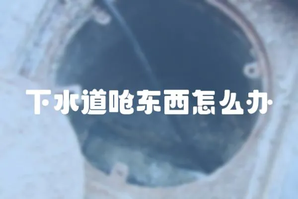 下水道嗆東西怎么辦