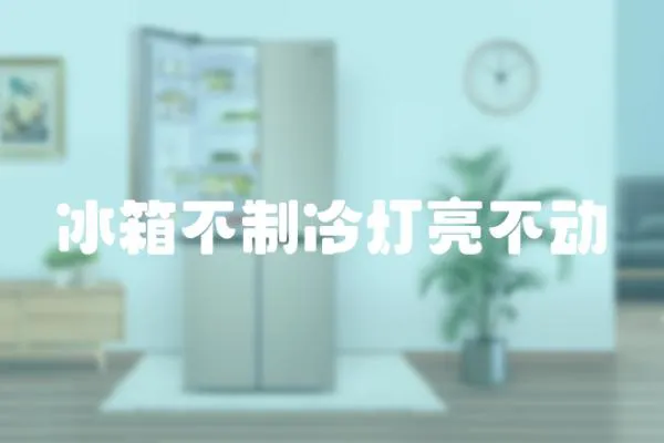 冰箱不制冷燈亮不動