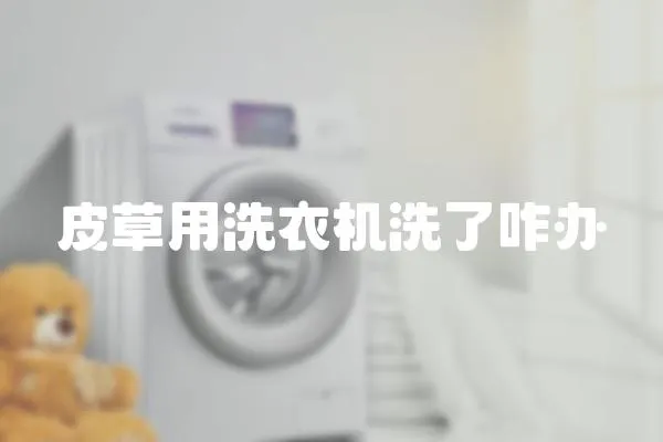 皮草用洗衣機洗了咋辦