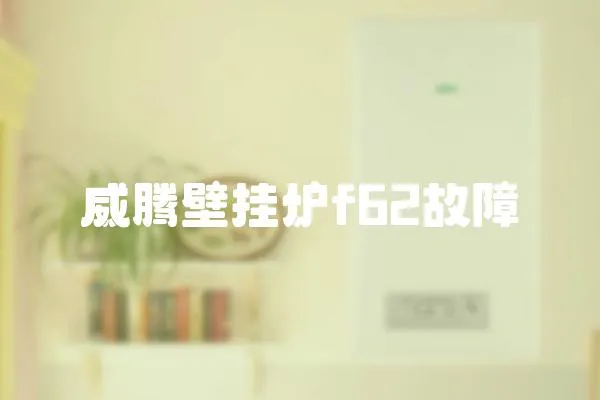 威騰壁掛爐f62故障