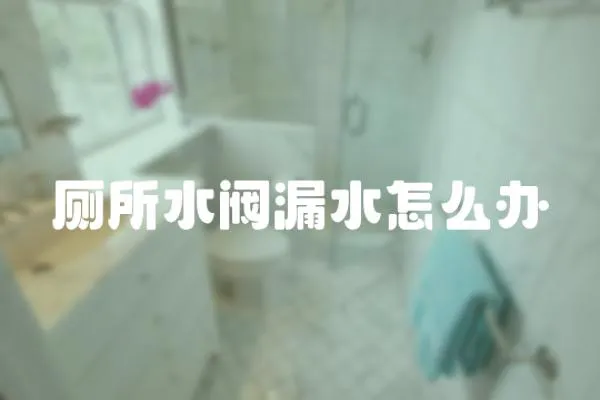 廁所水閥漏水怎么辦