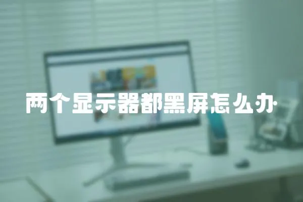 兩個顯示器都黑屏怎么辦