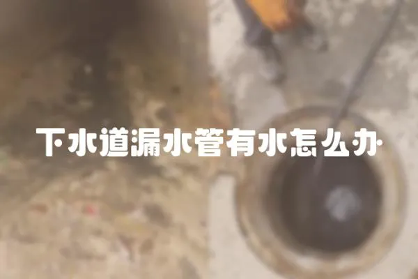 下水道漏水管有水怎么辦