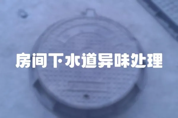 房間下水道異味處理