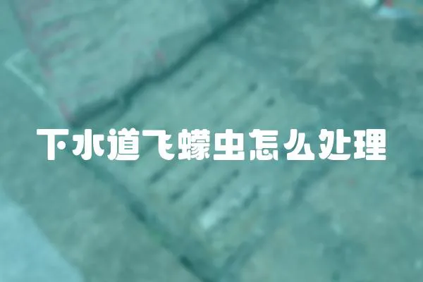 下水道飛蠓蟲怎么處理