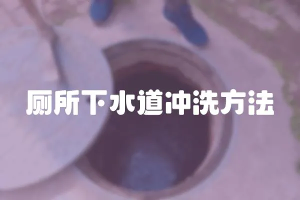廁所下水道沖洗方法