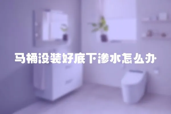 馬桶沒裝好底下滲水怎么辦