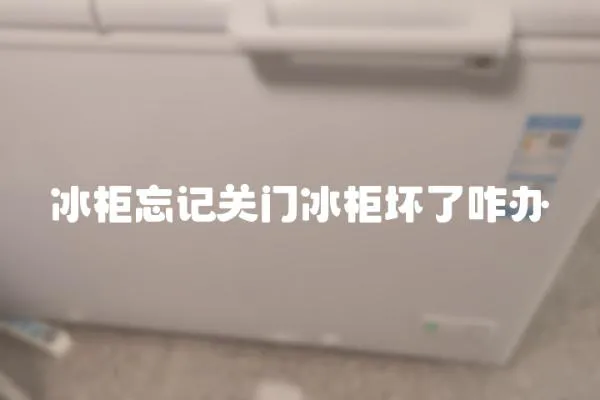 冰柜忘記關門冰柜壞了咋辦