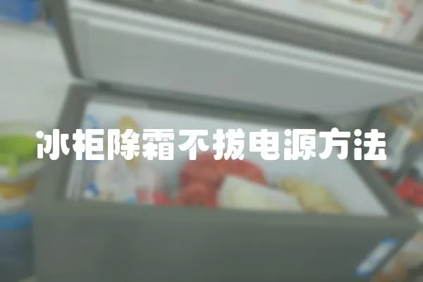 冰柜除霜不拔電源方法