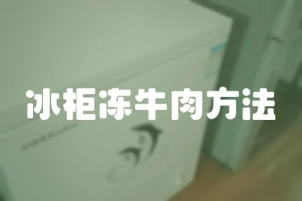 冰柜凍牛肉方法